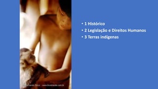 • 1 Histórico
• 2 Legislação e Direitos Humanos
• 3 Terras indígenas
 