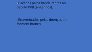 ●Caçados pelos bandeirantes no
século XVII (engenhos).
.Exterminados pelas doenças do
homem branco.
 
