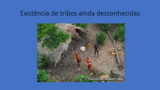 Existência de tribos ainda desconhecidas
 