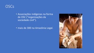 OSCs
• Associações indígenas na forma
de OSC (“organizações da
sociedade civil”).
• mais de 300 na Amazônia Legal.
 