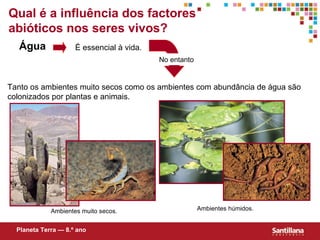 Qual  é  a influência dos factores abióticos nos seres vivos? Água É essencial à vida. Tanto os ambientes muito secos como os ambientes com abund ância de  água são colonizados por plantas e animais. Ambientes muito secos. Ambientes húmidos. Planeta Terra — 8.º ano No entanto 