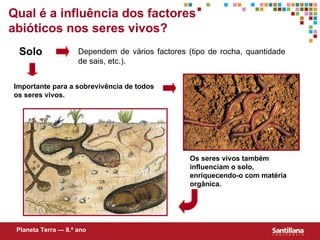 Qual  é  a influência dos factores abióticos nos seres vivos? Solo Dependem de vários factores (tipo de rocha, quantidade de sais, etc.). Importante para a sobrevivência de todos os seres vivos. Os seres vivos também influenciam o solo, enriquecendo-o com matéria orgânica. Planeta Terra — 8.º ano 