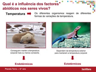 Endotérmicos Qual  é  a influência dos factores abióticos nos seres vivos? Temperatura Os diferentes organismos reagem de diferentes formas às variações de temperatura. Conseguem manter a temperatura corporal mais ou menos constante. Dependem da temperatura exterior para manterem a temperatura corporal. Ectotérmicos Planeta Terra — 8.º ano 
