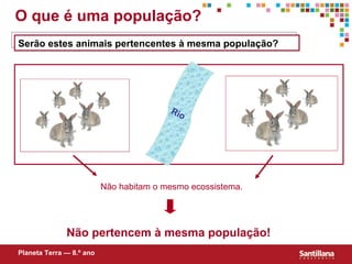 Rio  O que é uma população? Não habitam o mesmo ecossistema. Não pertencem à mesma população! Serão estes animais pertencentes à mesma população? Planeta Terra — 8.º ano 
