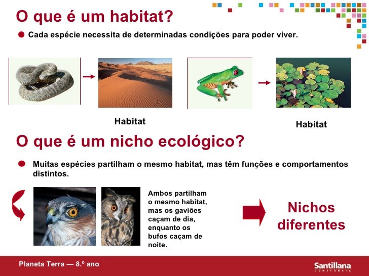 Qual A Diferença Entre Habitat E Nicho