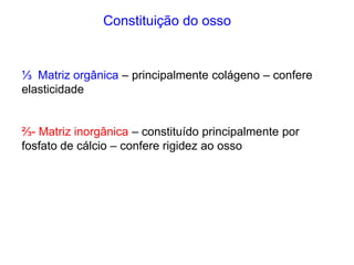 Constituição do osso


⅓ Matriz orgânica – principalmente colágeno – confere
elasticidade


⅔- Matriz inorgânica – constituído principalmente por
fosfato de cálcio – confere rigidez ao osso
 
