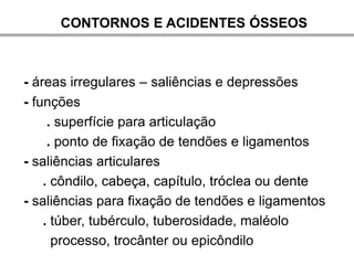CONTORNOS E ACIDENTES ÓSSEOS



- áreas irregulares – saliências e depressões
- funções
     . superfície para articulação
     . ponto de fixação de tendões e ligamentos
- saliências articulares
    . côndilo, cabeça, capítulo, tróclea ou dente
- saliências para fixação de tendões e ligamentos
    . túber, tubérculo, tuberosidade, maléolo
      processo, trocânter ou epicôndilo
 