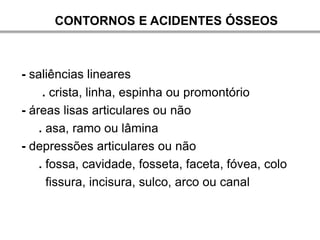 CONTORNOS E ACIDENTES ÓSSEOS



- saliências lineares
     . crista, linha, espinha ou promontório
- áreas lisas articulares ou não
    . asa, ramo ou lâmina
- depressões articulares ou não
    . fossa, cavidade, fosseta, faceta, fóvea, colo
      fissura, incisura, sulco, arco ou canal
 
