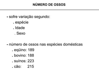 NÚMERO DE OSSOS


- sofre variação segundo:
    . espécie
    . Idade
     . Sexo

- número de ossos nas espécies domésticas
   . eqüino: 189
   . bovino: 188
   . suínos: 223
   . cão:    215
 