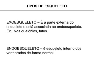TIPOS DE ESQUELETO



EXOESQUELETO – É a parte externa do
esqueleto e está associada ao endoesqueleto.
Ex . Nos quelônios, tatus.



ENDOESQUELETO – é esqueleto interno dos
vertebrados de forma normal.
 