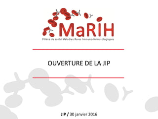 OUVERTURE DE LA JIP
JIP / 30 janvier 2016
 