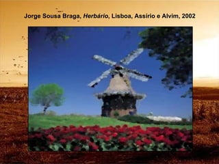 Jorge Sousa Braga,  Herbário , Lisboa, Assírio e Alvim, 2002 