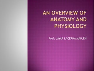 Prof: JAYAR LACERNA MAN,RN
 