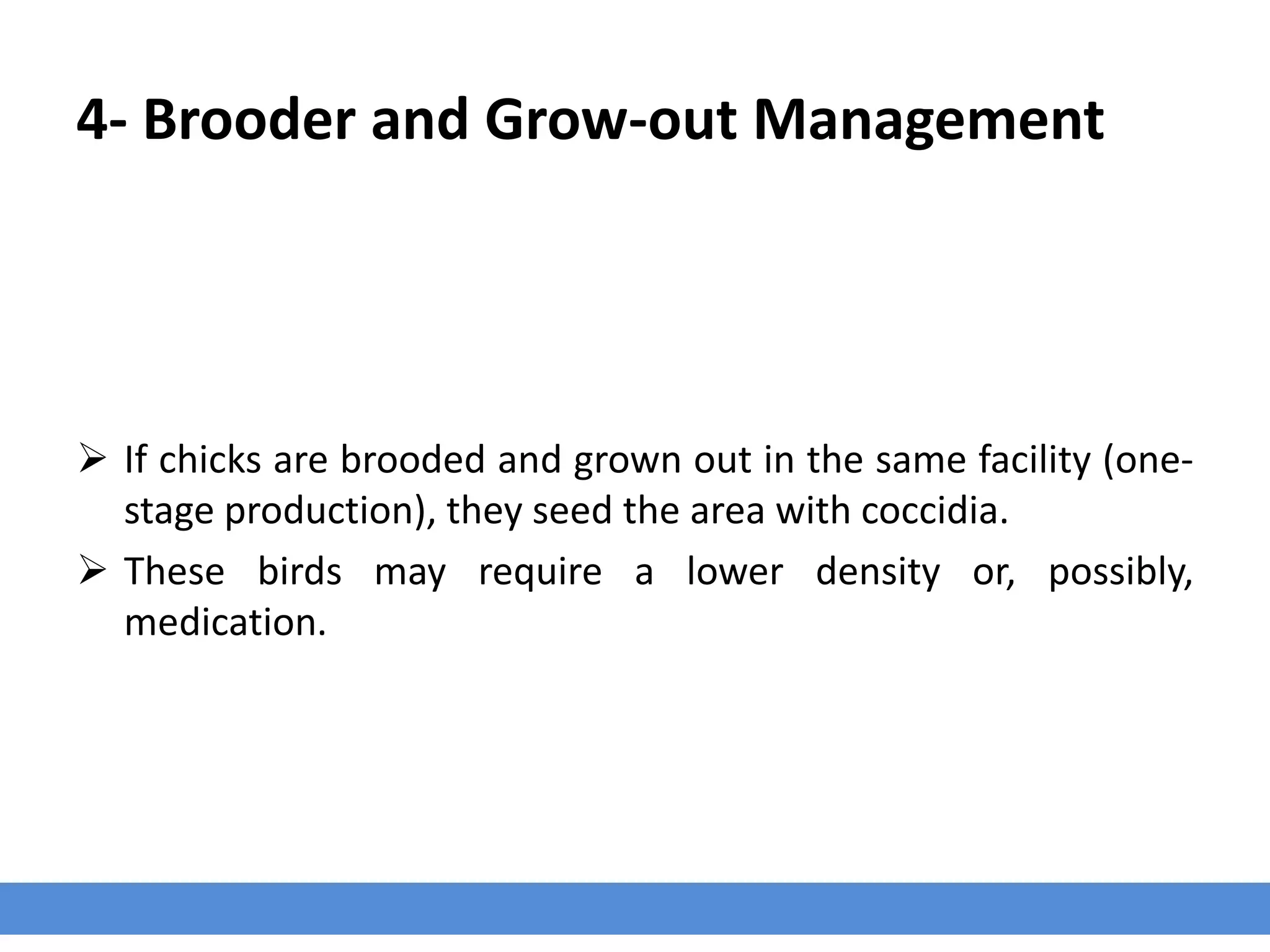 4- Brooder and Grow-out Management
 If chicks are brooded and grown out in the same facility (one-
stage production), they seed the area with coccidia.
 These birds may require a lower density or, possibly,
medication.
 