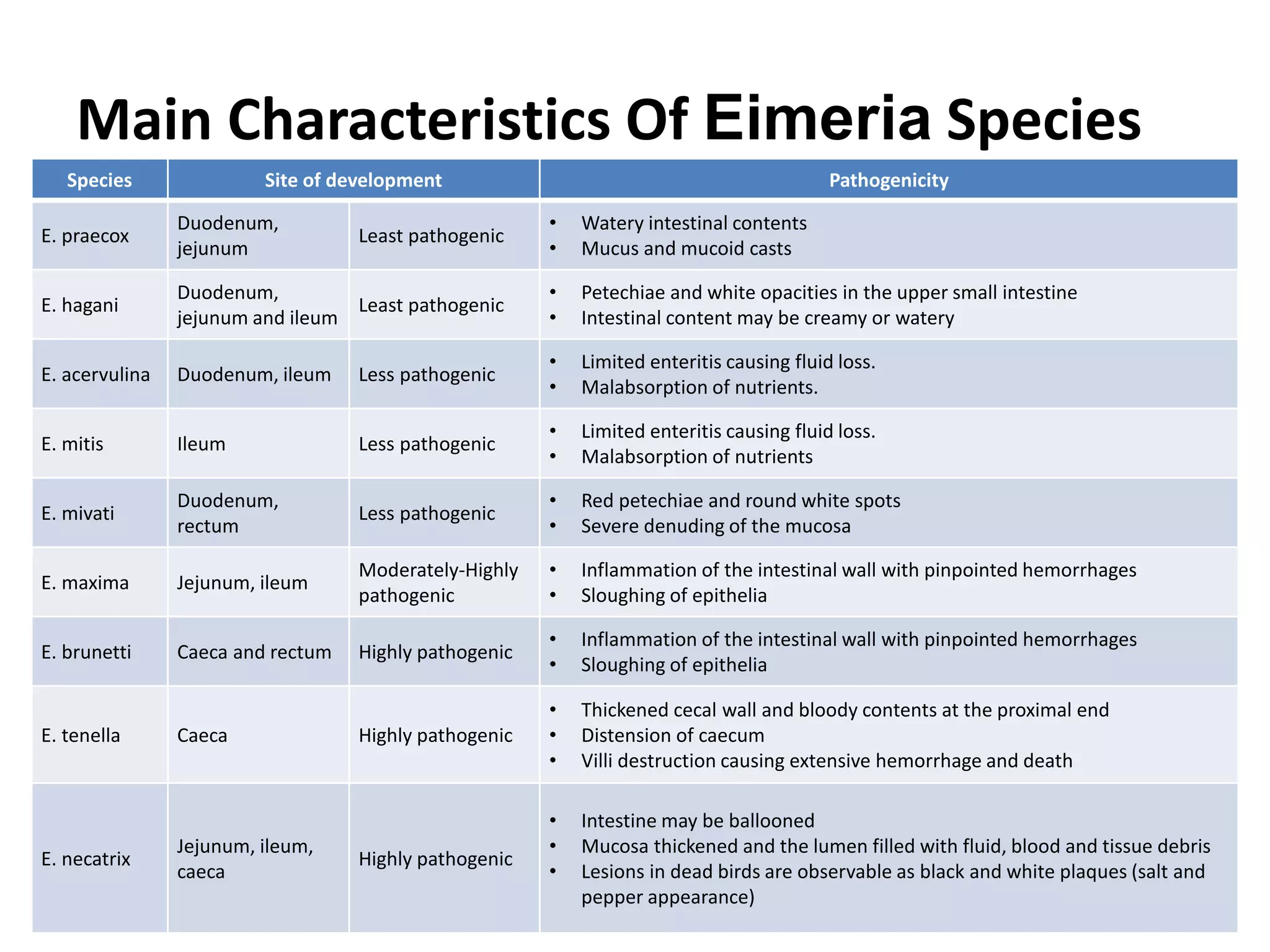Main Characteristics Of Eimeria Species
Species Site of development Pathogenicity
E. praecox
Duodenum,
jejunum
Least pathogenic
• Watery intestinal contents
• Mucus and mucoid casts
E. hagani
Duodenum,
jejunum and ileum
Least pathogenic
• Petechiae and white opacities in the upper small intestine
• Intestinal content may be creamy or watery
E. acervulina Duodenum, ileum Less pathogenic
• Limited enteritis causing fluid loss.
• Malabsorption of nutrients.
E. mitis Ileum Less pathogenic
• Limited enteritis causing fluid loss.
• Malabsorption of nutrients
E. mivati
Duodenum,
rectum
Less pathogenic
• Red petechiae and round white spots
• Severe denuding of the mucosa
E. maxima Jejunum, ileum
Moderately-Highly
pathogenic
• Inflammation of the intestinal wall with pinpointed hemorrhages
• Sloughing of epithelia
E. brunetti Caeca and rectum Highly pathogenic
• Inflammation of the intestinal wall with pinpointed hemorrhages
• Sloughing of epithelia
E. tenella Caeca Highly pathogenic
• Thickened cecal wall and bloody contents at the proximal end
• Distension of caecum
• Villi destruction causing extensive hemorrhage and death
E. necatrix
Jejunum, ileum,
caeca
Highly pathogenic
• Intestine may be ballooned
• Mucosa thickened and the lumen filled with fluid, blood and tissue debris
• Lesions in dead birds are observable as black and white plaques (salt and
pepper appearance)
 