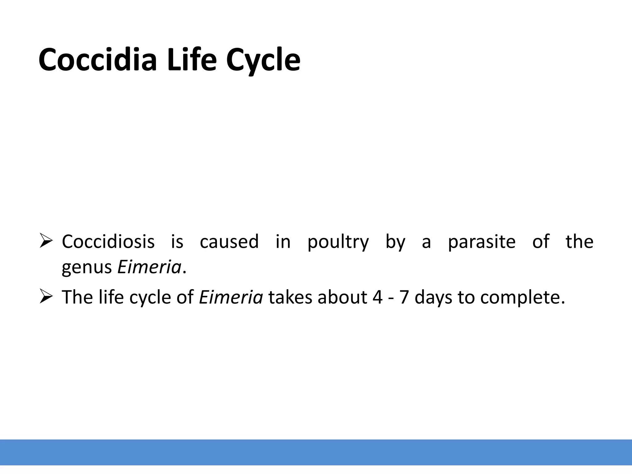 Coccidia Life Cycle
 Coccidiosis is caused in poultry by a parasite of the
genus Eimeria.
 The life cycle of Eimeria takes about 4 - 7 days to complete.
 