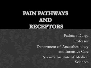 PAIN PATHWAYS
AND
RECEPTORS
Padmaja Durga
Professor
Department of Anaesthesiology
and Intensive Care
Nizam‟s Institute of Medical
Sciences

 
