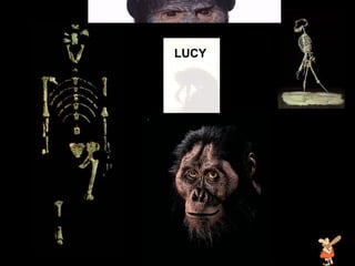 lucy LUCY 