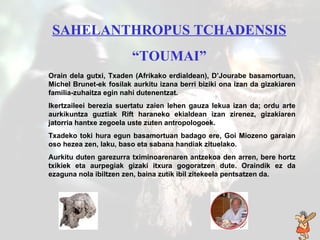 toumai SAHELANTHROPUS TCHADENSIS “ TOUMAI” Orain dela gutxi, Txaden (Afrikako erdialdean), D’Jourabe basamortuan, Michel Brunet-ek   fosilak aurkitu izana berri biziki ona izan da gizakiaren familia-zuhaitza egin nahi dutenentzat.  Ikertzaileei berezia suertatu zaien lehen gauza lekua izan da; ordu arte aurkikuntza guztiak Rift haraneko ekialdean izan zirenez, gizakiaren jatorria hantxe zegoela uste zuten antropologoek. Txadeko toki hura egun basamortuan badago ere, Goi Miozeno garaian oso hezea zen, laku, baso eta sabana handiak zituelako. Aurkitu duten garezurra tximinoarenaren antzekoa den arren, bere hortz txikiek eta aurpegiak gizaki itxura gogoratzen dute. Oraindik ez  da  ezaguna   nola ibiltzen zen, baina zutik ibil   zitekeela pentsatzen da. 