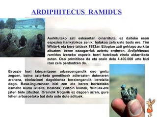 Ardiphitecus ramidus ARDIPHITECUS  RAMIDUS Aurkitutako zati eskasotan oinarrituta, ez daiteke esan espeziea hankabikoa zenik, halakoa zela uste bada ere. Tim White-k eta bere taldeak 1992an Etiopian zati gehiago aurkitu zituzten; beren ezaugarriak aztertu ondoren,  Ardiphitecus   ramidus  izeneko espezie berri batekoak zirela aldarrikatu zuten. Oso primitiboa da eta orain dela 4.400.000 urte bizi izan zela pentsatzen da. Espezie hori txinpantzeen arbasoengandik oso gertu zegoen, baina azterketa genetikoek adierazten dutenaren aranera, eboluzioari dagokionez beraiengandik bereizita dago. Baso-ingurunean bizi zen eta beren hortzetako esmalte leuna ikusita, hostoak, zurtoin leunak, fruituak-eta jaten bide zituzten. Oraindik frogarik ez dagoen arren, gure lehen arbasoetako bat dela uste dute adituek.  