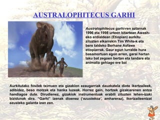 Australophitecus garhi AUSTRALOPHITECUS GARHI   Australophitecus garhi -ren aztarnak 1996 eta 1998 urteen bitartean Awash-eko erdialdean (Etiopian) aurkitu zituzten elkarrekin Tim White-k eta bere taldeko Berhane Asfawe etiopiarrak. Gaur egun lurralde hura basamortuan egon arren, garai hartan laku bat zegoen bertan eta landare eta animalia gehiago ere bai Aurkitutako fosilek tximuen eta gizakion ezaugarriak dauzkatela diote ikertzaileek, adibidez, beso motzak eta hanka luzeak. Hor r ez gain, hortzek gizakiarenen antza handiagoa dute. Dirudienez, gizakiok instrumentuak erabili zituzten lehen-izaki bizidunak dira. “Garhi” izenak dioenez (‘ ezustekoa’ , amhareraz), ikertzaileentzat ezusteko galanta izan zen.  