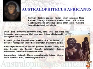 Australophitecus africanus AUSTRALOPHITECUS AFRICANUS   Raymon Dart-ek espezie horren lehen aztarnak Hego Afrikako Taun-go harrobian aurkitu zituen 1924. urtean.  Australophitecus africanus  izena eman zion, ‘Afrikako hegoaldeko tximinoa’, alegia. Orain dela 3.000.000-2.500.000 urte, leku ireki eta baso lehorreko inguruneetan bizi izan zen , k lima aldaketarekin desagertu zen  arte . Aztarna guztiak kobazuloetan aurkitu dira, ez bertan bizi zirelako, harrapariek jateko hara eramaten zituztelako baizik. Australophitecus- ak   bi hanken gainean ibiltzen ziren; hala ere,   besoen eta hanken itxurak adierazten duenez, zuhaitzetan denbora luzea ematen zuten. Antropologo batzuek  Homo  espeziearekin lotzen dituzte; beste batzuek ,  aldiz,  Paranthropus -arekin. 
