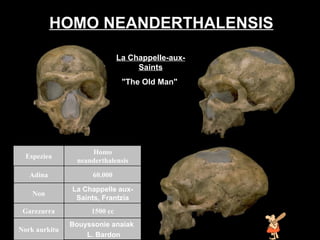 Homo neanderthal HOMO NEANDERTHALENSIS   .   La Chappelle-aux-Saints "The Old Man"  Bouyssonie anaiak  L. Bardon Nork aurkitu 1 500  cc Garezurra La Chappelle aux-Saints, Frantzia Non 60.000 Adina Homo neanderthalensis Espeziea 
