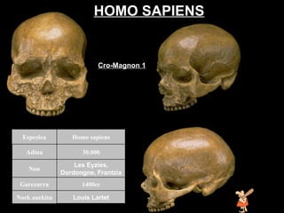 Homo sapiens HOMO SAPIENS Cro-Magnon 1 Louis Lartet Nork aurkitu 1400cc Garezurra Les Eyzies, Dordongne, Frantzia Non 30.000 Adina Homo sapiens Espeziea 