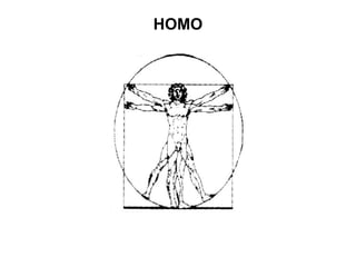 HOMO HOMO 