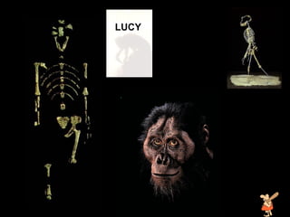 lucy LUCY 