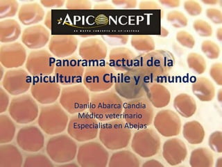 Panorama actual de la apicultura en Chile y el mundo Danilo Abarca Candia Médico veterinario Especialista en Abejas 