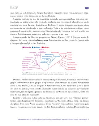 Panorama histórico da classificação dos seres vivos e os grandes grupos ...