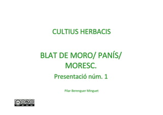 CULTIUS HERBACIS


BLAT DE MORO/ PANÍS/ 
      MORESC. 
   Presentació núm. 1
      Pilar Berenguer Minguet
 
