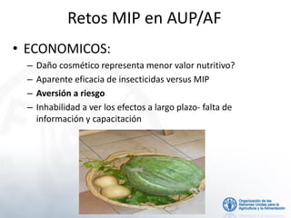 Manejo Integrado de Plagas-MIP, AlbertoPantoja