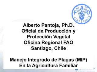 Alberto Pantoja, Ph.D.
Oficial de Producción y
Protección Vegetal
Oficina Regional FAO
Santiago, Chile
Manejo Integrado de Plagas (MIP)
En la Agricultura Familiar
 