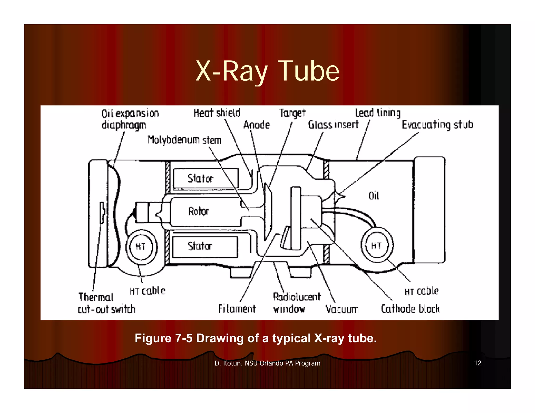 Introduction to Medical Imaging