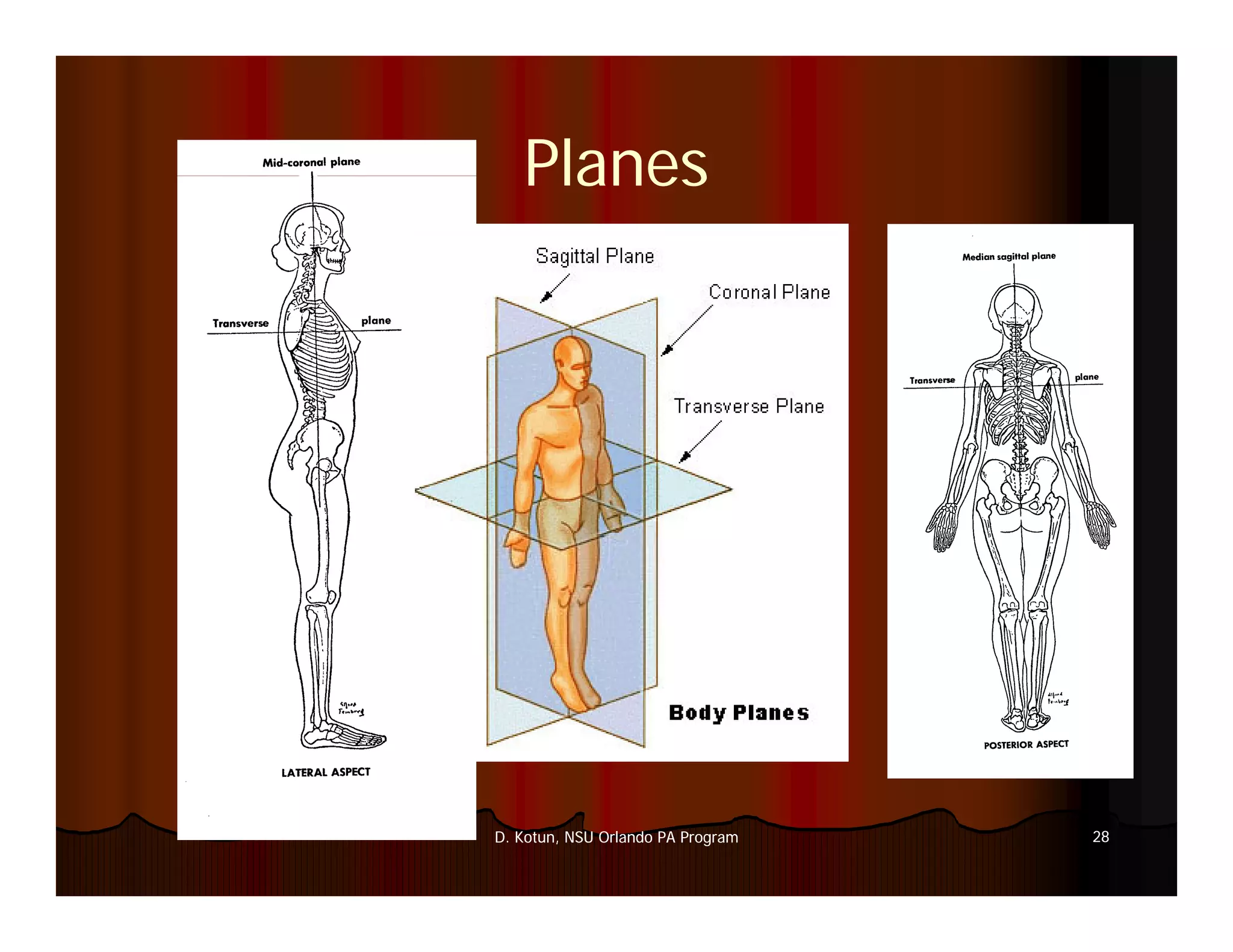 Introduction to Medical Imaging