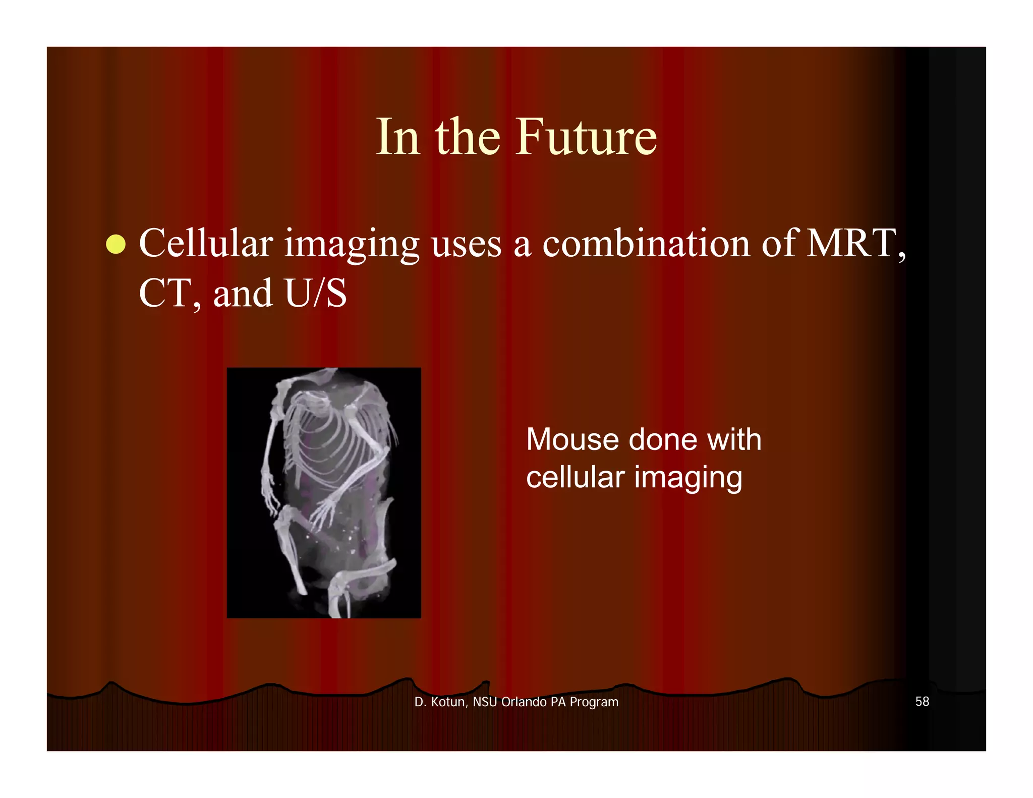 Introduction to Medical Imaging