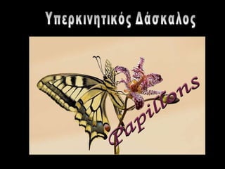 Papillons Υπερκινητικός Δάσκαλος 