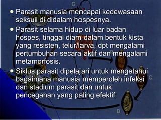 Parasit manusia mencapai kedewasaan seksuil di didalam hospesnya. Parasit selama hidup di luar badan hospes, tinggal diam dalam bentuk kista yang resisten, telur/larva, dpt mengalami pertumbuhan secara aktif dan mengalami metamorfosis. Siklus parasit dipelajari untuk mengetahui bagaimana manusia memperoleh infeksi dan stadium parasit dan untuk pencegahan yang paling efektif. 