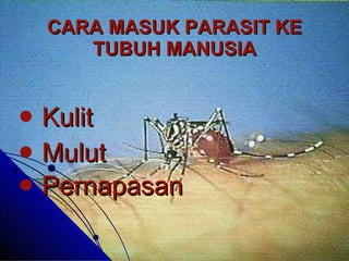 CARA MASUK PARASIT KE TUBUH MANUSIA Kulit Mulut  Pernapasan   