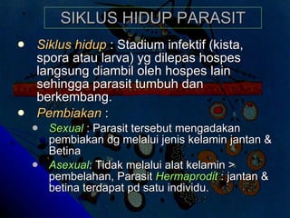 SIKLUS HIDUP PARASIT Siklus hidup  :  Stadium infektif (kista, spora atau larva) yg dilepas hospes langsung diambil oleh hospes lain  sehingga  parasit tumbuh dan berkembang . Pembiakan  :  Sexual  : Parasit tersebut mengadakan pembiakan dg melalui jenis kelamin jantan & Betina Asexual : Tidak melalui alat kelamin > pembelahan ,  Parasit  Hermaprodit  :  j antan &  b etina terdapat pd satu individu . 