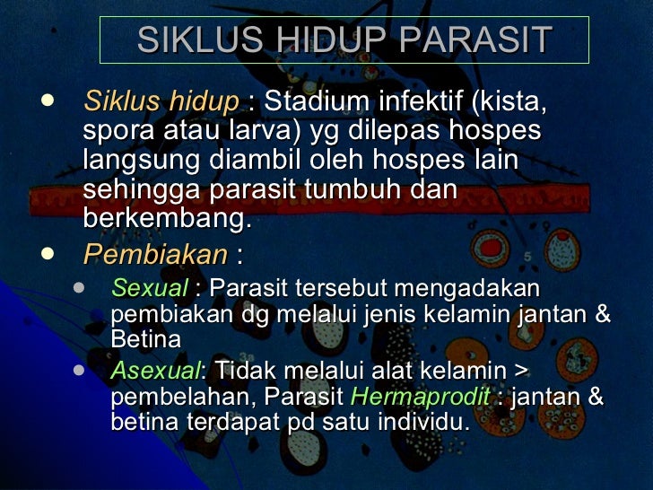 Parasitologi Kedokteran Pdf Parasitologi Kedokteran Pdf
