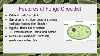 Toadstool Cell Structure Understanding Disease and Immunity: Pathogens, Transmission, and ...