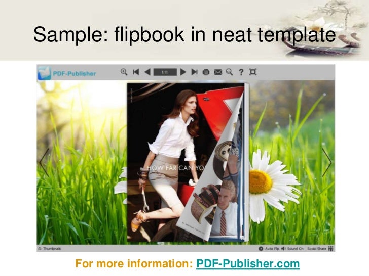 pdf to publisher on line