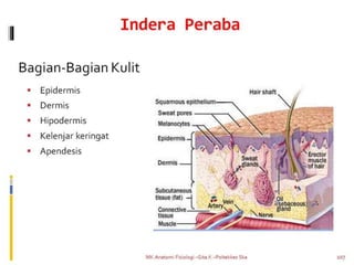 Penginderaan Coloring Page