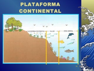 PLATAFORMA CONTINENTAL 