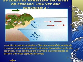 AS ZONAS DE UPWELLING SÃO RICAS EM PESCADO  UMA VEZ QUE PROVOCAM A : a subida das águas profundas e frias para a superfície arrastando  consigo grandes quantidades de nutrientes depositados nos fundos oceânicos, o que contribui para o aumento da concentração de alimento de muitas espécies piscícolas. 
