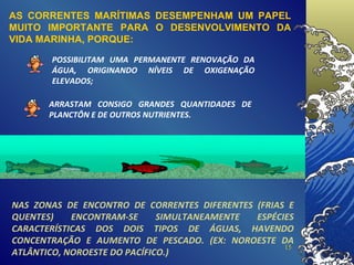 AS CORRENTES MARÍTIMAS DESEMPENHAM UM PAPEL MUITO IMPORTANTE PARA O DESENVOLVIMENTO DA VIDA MARINHA, PORQUE:   NAS ZONAS DE ENCONTRO DE CORRENTES DIFERENTES (FRIAS E QUENTES) ENCONTRAM-SE SIMULTANEAMENTE ESPÉCIES CARACTERÍSTICAS DOS DOIS TIPOS DE ÁGUAS, HAVENDO CONCENTRAÇÃO E AUMENTO DE PESCADO. (EX: NOROESTE DA ATLÂNTICO, NOROESTE DO PACÍFICO.) POSSIBILITAM UMA PERMANENTE RENOVAÇÃO DA ÁGUA, ORIGINANDO NÍVEIS DE OXIGENAÇÃO ELEVADOS; ARRASTAM CONSIGO GRANDES QUANTIDADES DE PLANCTÔN E DE OUTROS NUTRIENTES. 