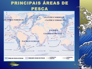 PRINCIPAIS ÁREAS DE PESCA    -  ATLÂNTICO NORDESTE    PACÍFICO SUDESTE - PACÍFICO NOROESTE    PACÍFICO CENTRO-OCIDENTAL    ATLÂNTICO NOROESTE   